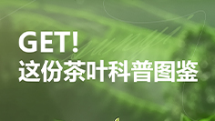 GET ！這份茶葉科普圖鑒